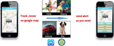 Key Chain GPS GSM Personal Tracker MTK MT6260 For Dog Tracking